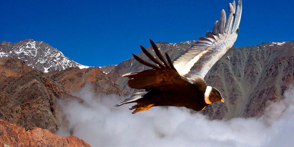 The Canyon of the Condors in Cusco