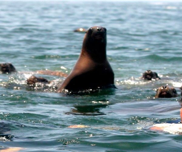 ISLAND TOURS Lima