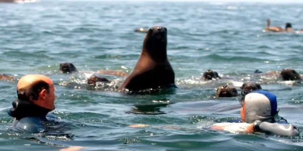 PALOMINO ISLAND TOURS - Imagen 4
