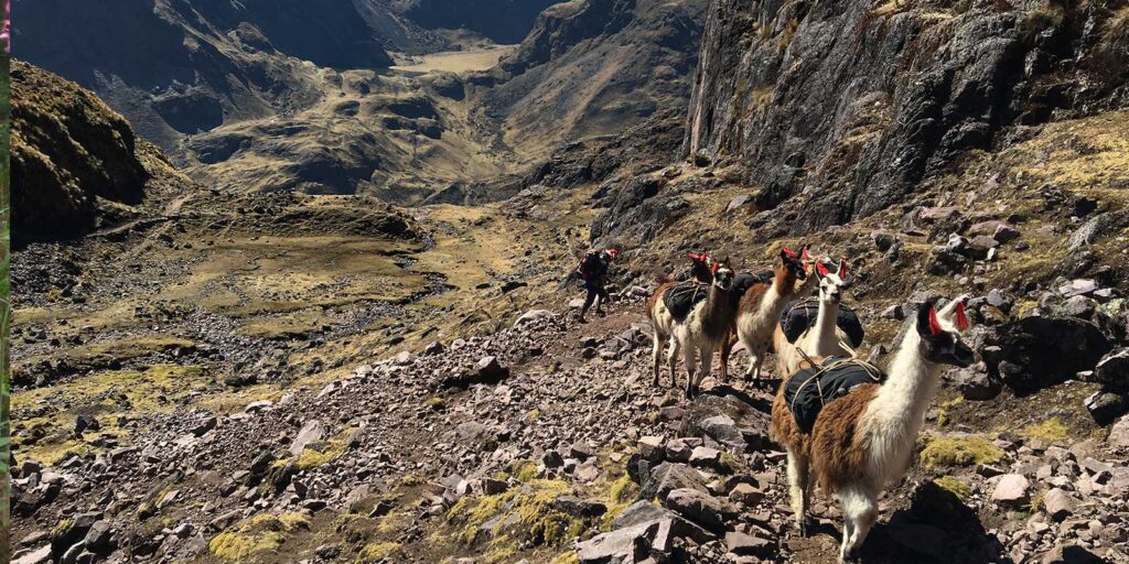 Lares Trek to Machu Picchu 4 Days via Patacancha