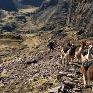 Lares Trek to Machu Picchu 4 Days / 3 Nights – Patacancha