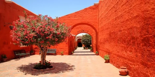 City Walking Tour – Capilla San Ignacio – Monasterio De Santa Catalina - Imagen 4