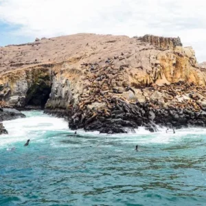 PALOMINO ISLAND TOURS