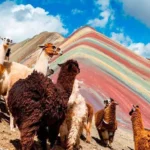 Grand Southern Peru 13 Days / 12 Nights