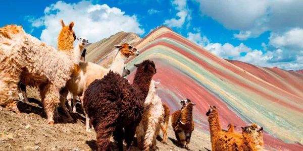Cusco + Salkantay trek – 8 Days / 7 nigths - Imagen 4