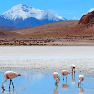 Tours 3 Days Salar de Uyuni