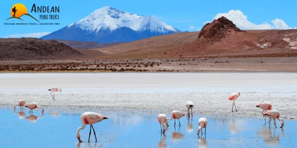Tours 3 Days Salar de Uyuni