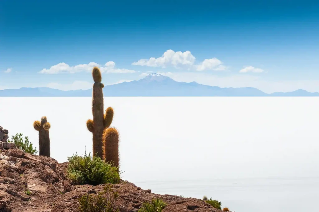 Uyuni Salt Flat Full-Day Tour