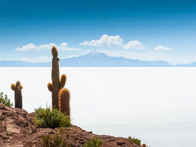 Uyuni Salt Flat and Altiplano 3-Day 4×4 Tour