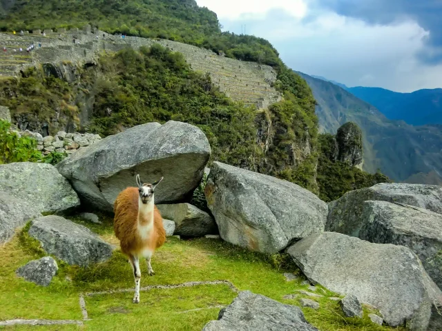 Cusco, Salkantay and Rainbow Mountain 8 Days