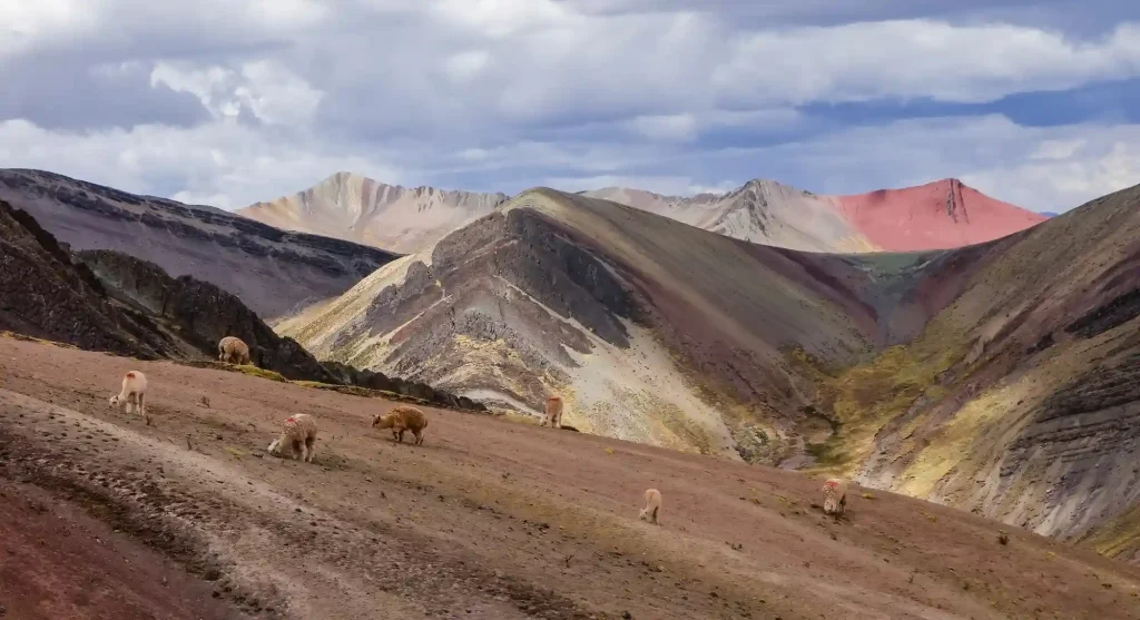 Private Transport: Q’eswachaka and Colored Mountain Route