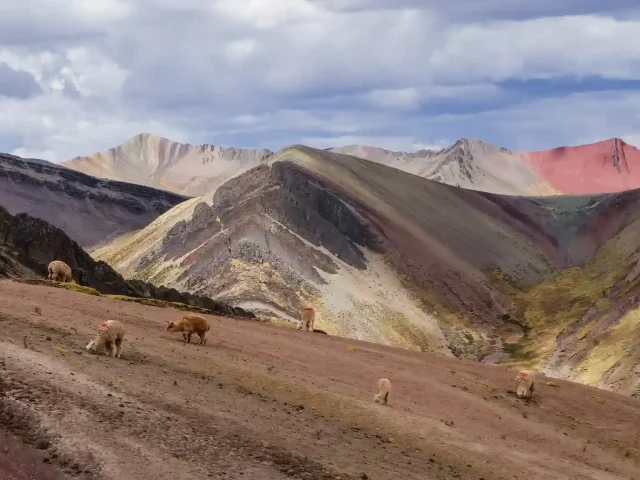 Cusco, Salkantay and Rainbow Mountain 8 Days