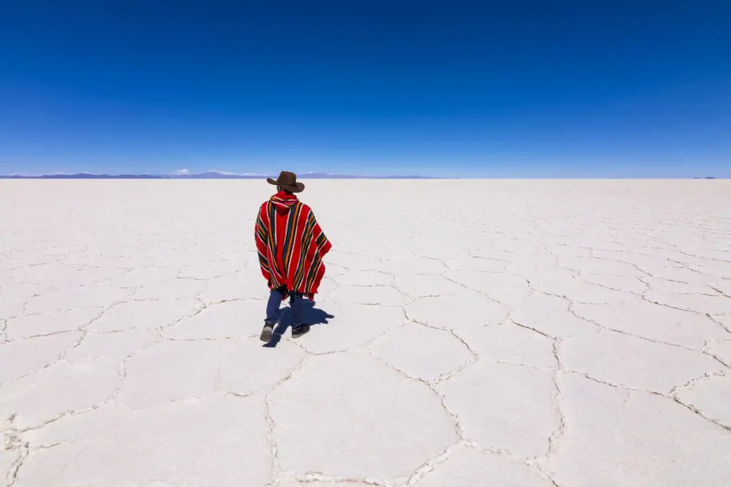 Uyuni Salt Flat Full-Day Tour