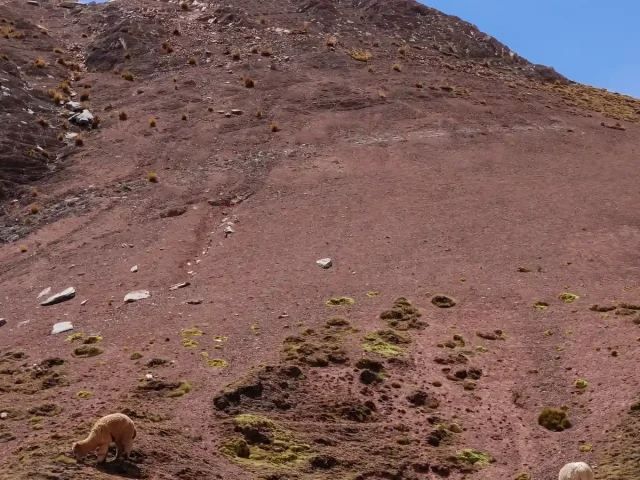Cusco, Salkantay and Rainbow Mountain 8 Days