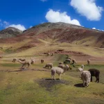 Complete Cusco 8-Day Package