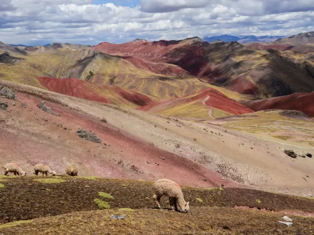 Cusco, Machu Picchu, Rainbow Mountain and Humantay 6 Days