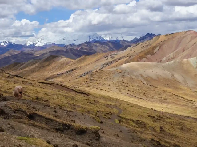 Cusco and Machu Picchu 5-Day Package