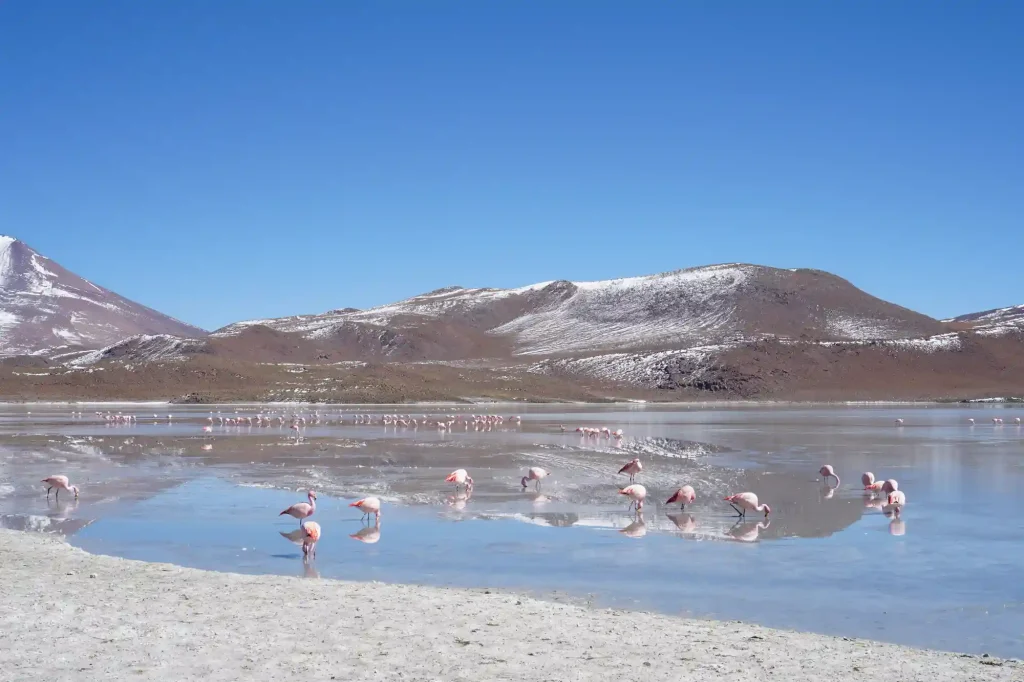 Uyuni Salt Flat Full-Day Tour