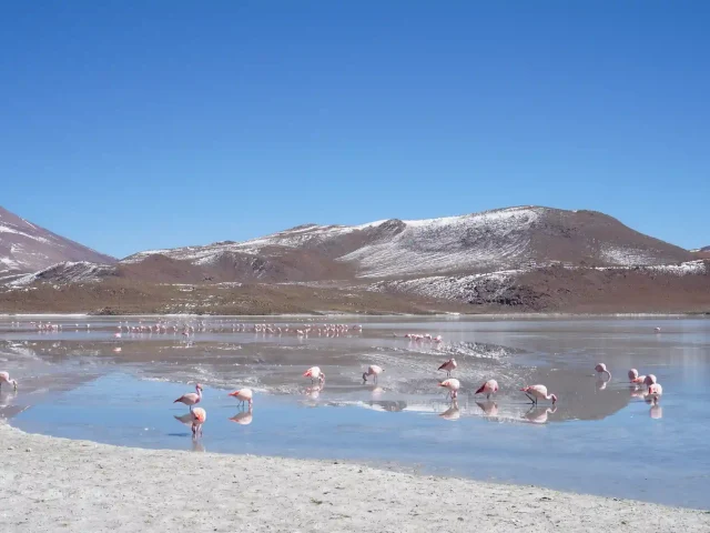 Uyuni Salt Flat Full-Day Tour
