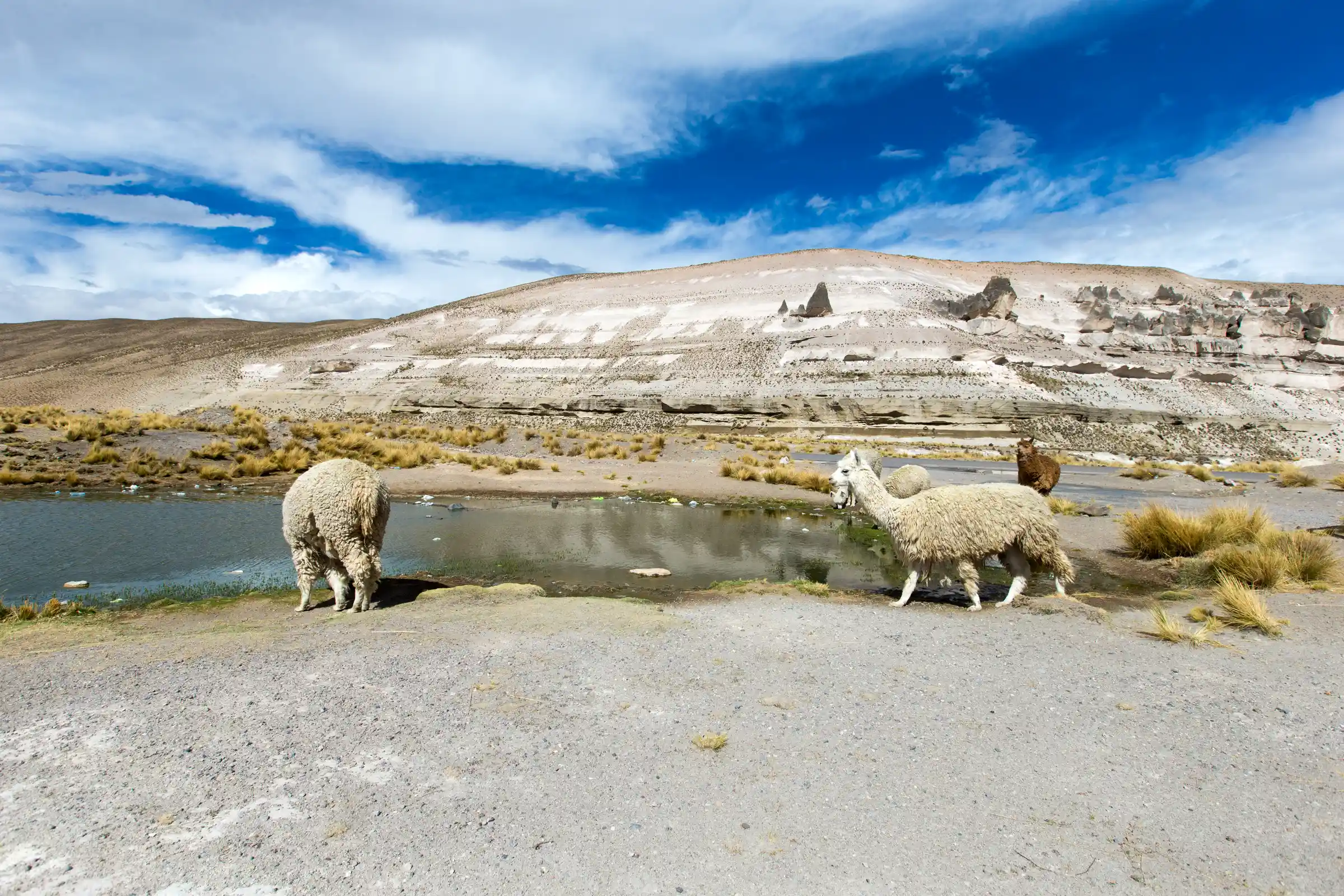 Colca Canyon Trek 3 Days / 2 Nights