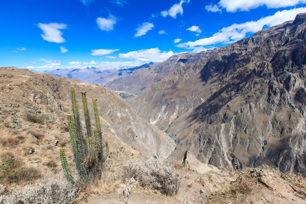 Colca Canyon Trek 3 Days / 2 Nights