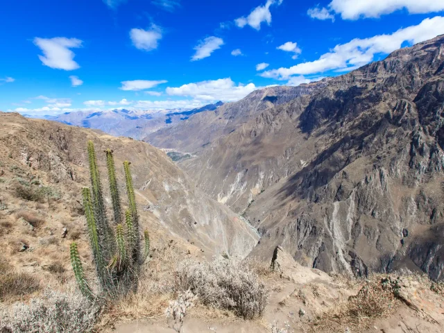 Colca Canyon Full-Day Tour