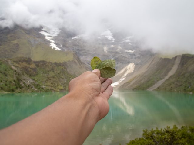 Complete Cusco 8-Day Package