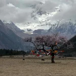 Salkantay Trek 5 Days to Machu Picchu