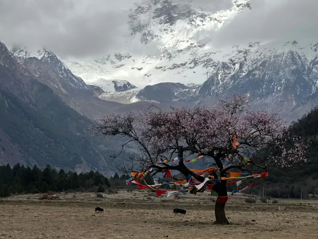 Salkantay Trek 5 Days to Machu Picchu